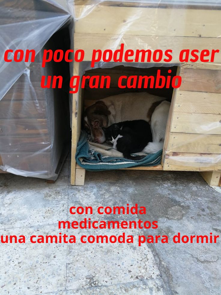 DONACIONES